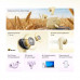 Realme Buds Air 8, LHDC, Ai, ANC 55dB, BT 5.4 (RMA2503) master grey